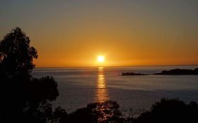 Bay Of Fires Seachange Ocean Frontage
